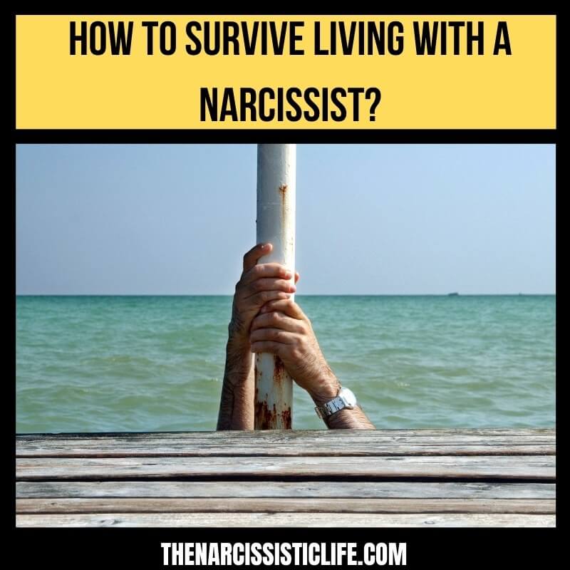 survive living with a narcissist