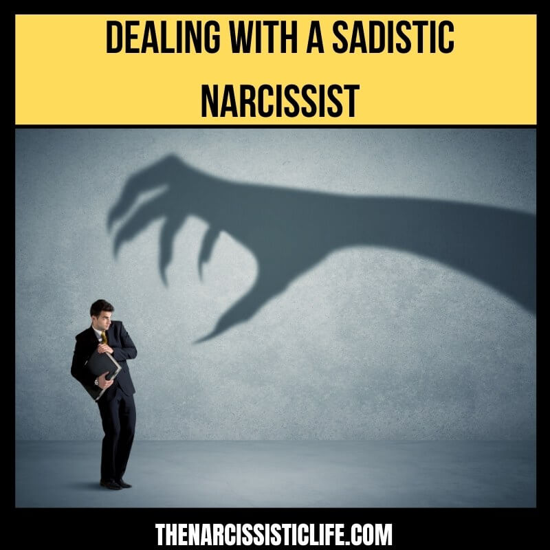 sadistic narcissist