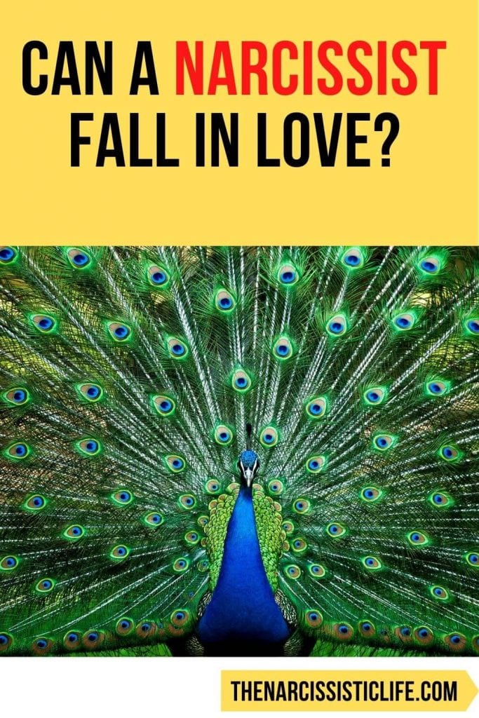 Can a Narcissist Fall in Love? Will a Narcissist Ever Find True Love? - The  Narcissistic Life