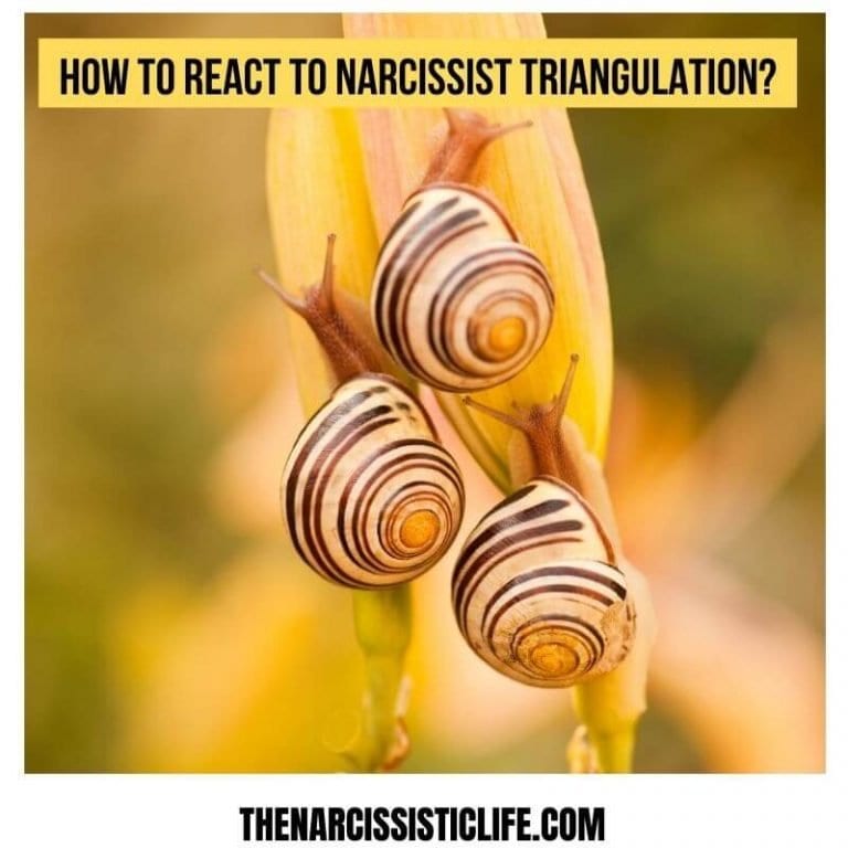 How to React to Narcissist Triangulation Explained With Real-Life Examples
