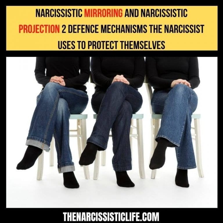 What is Narcissistic Projection? (With Examples)
