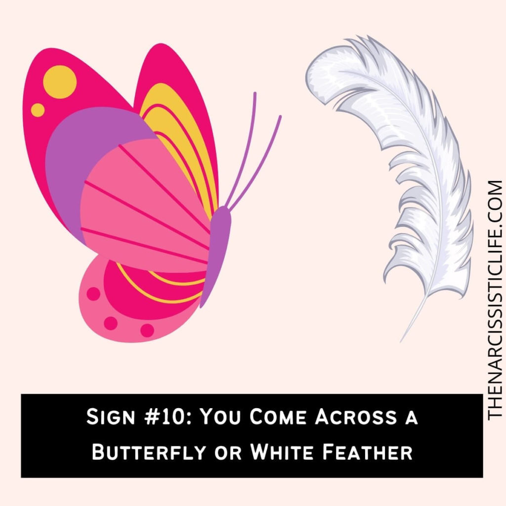 Sign #10 You Come Across a Butterfly or White Feather