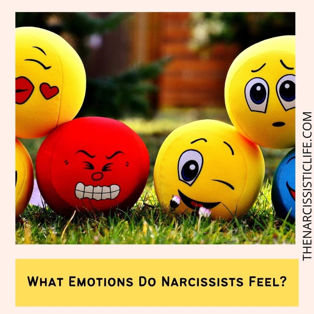 What Emotions Do Narcissists Feel_