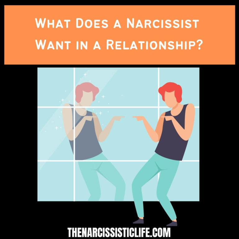 What Does a Narcissist Want in a Relationship?
