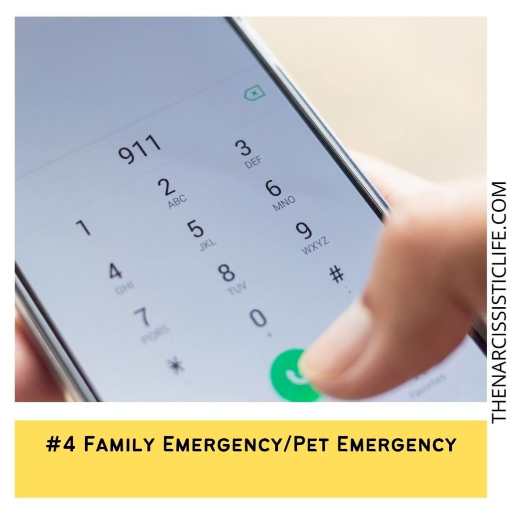 #4 Family Emergency_Pet Emergency