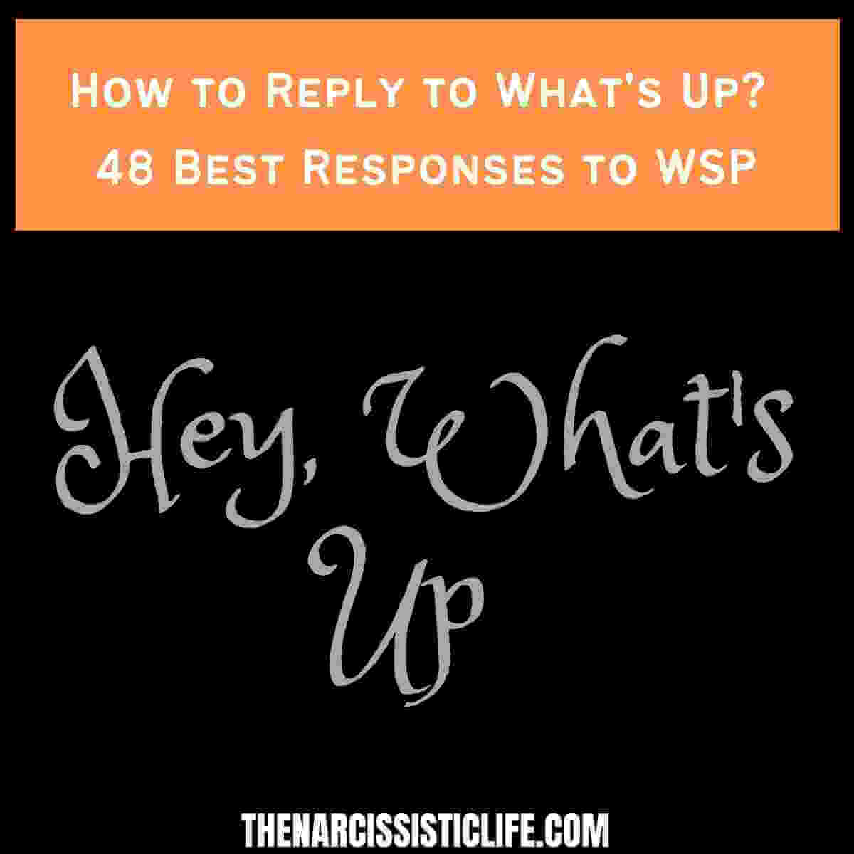 How to Reply to What's Up 48 Best Responses to WSP