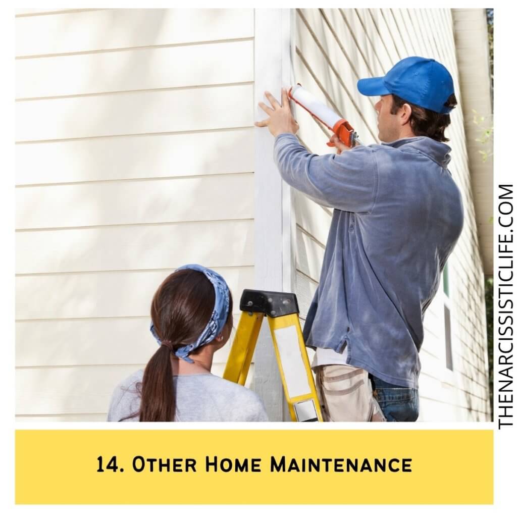 Other Home Maintenance