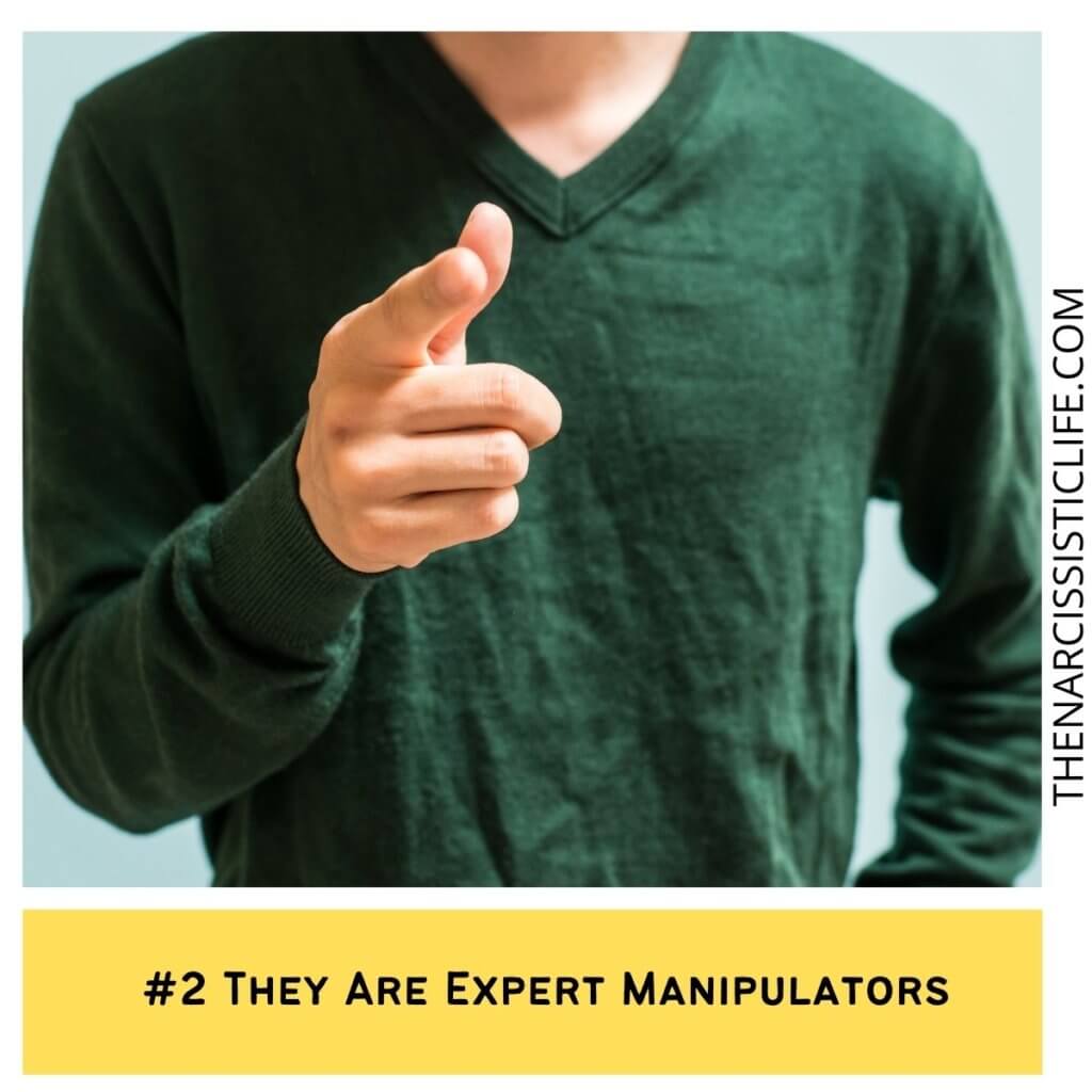 They Are Expert Manipulators