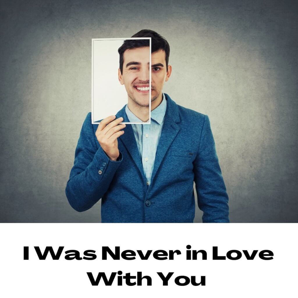 I Was Never in Love With You