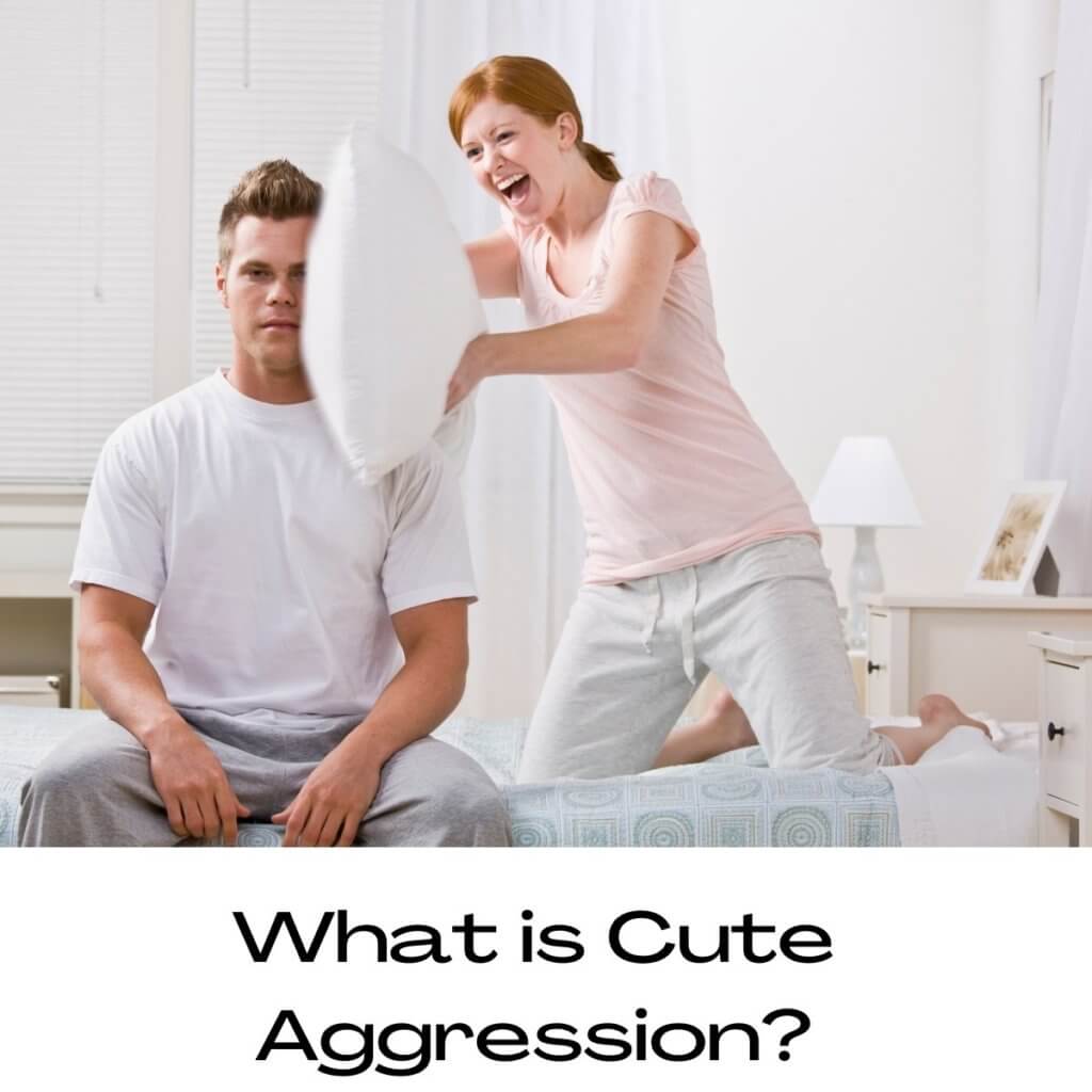 What is Cute Aggression