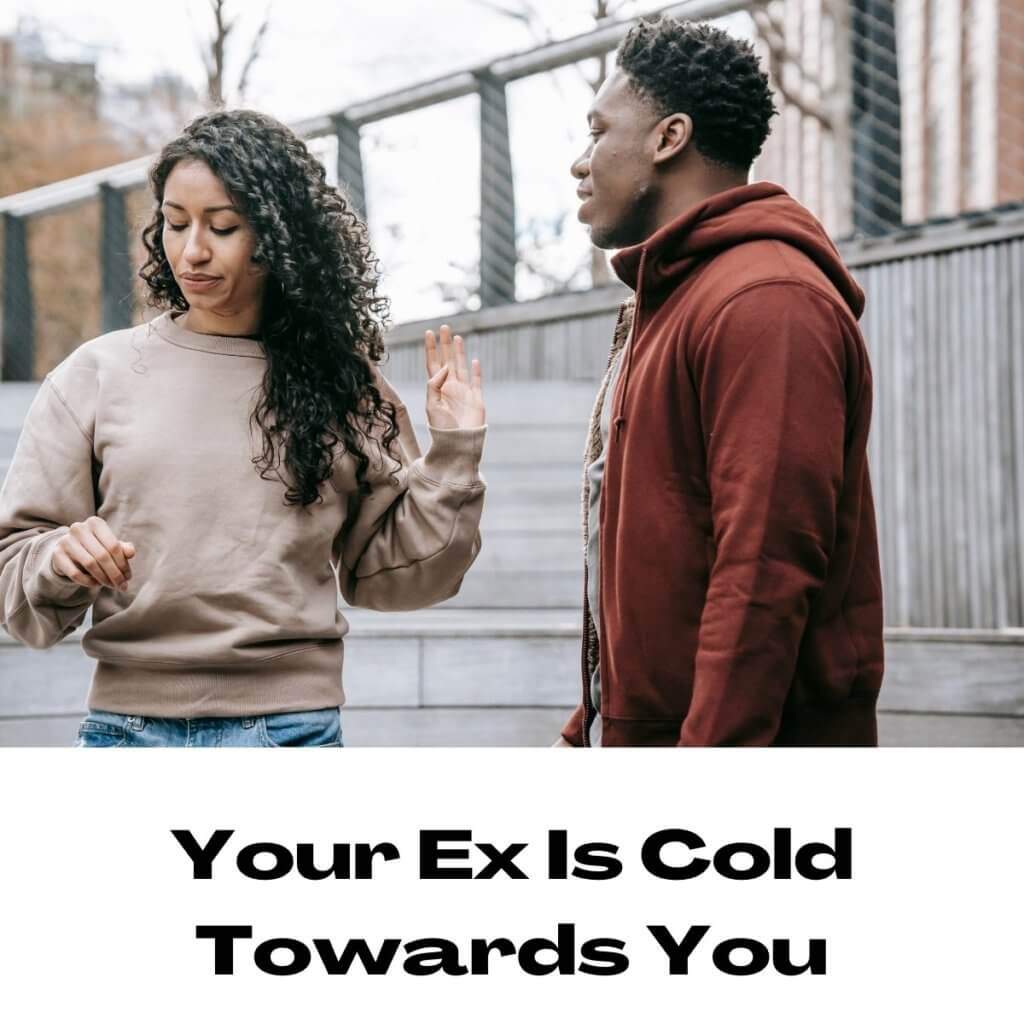 Your Ex Is Cold Towards You