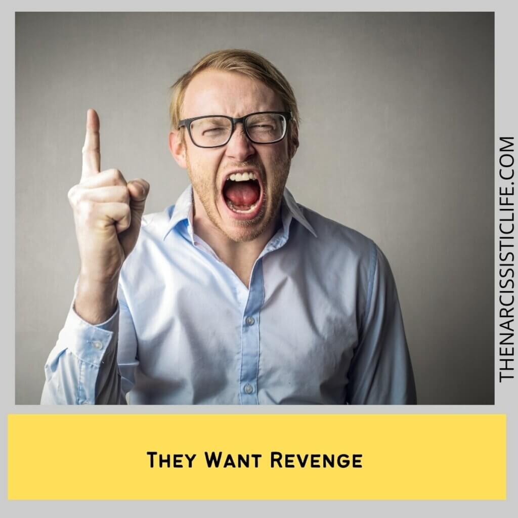 They Want Revenge 