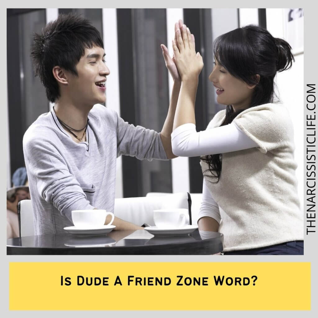 Is Dude A Friend Zone Word