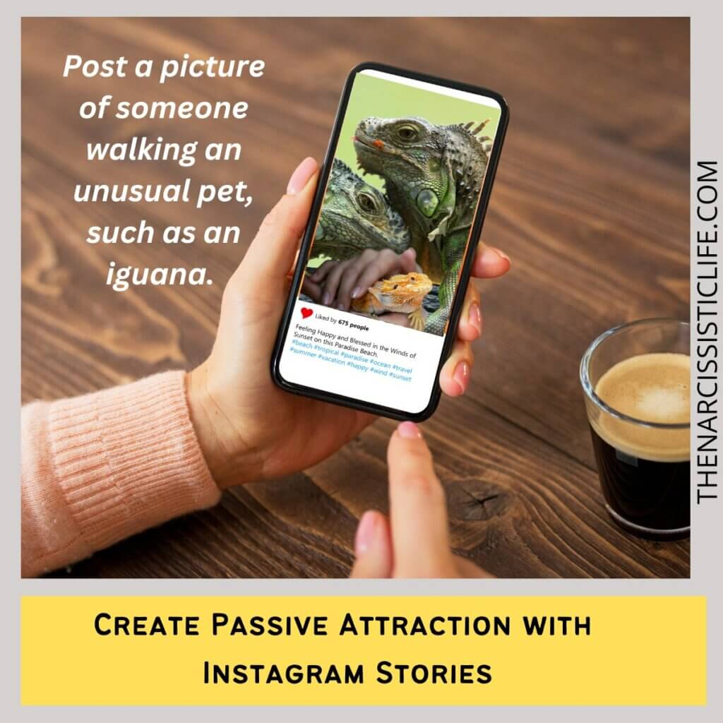 Create Passive Attraction with Instagram Stories