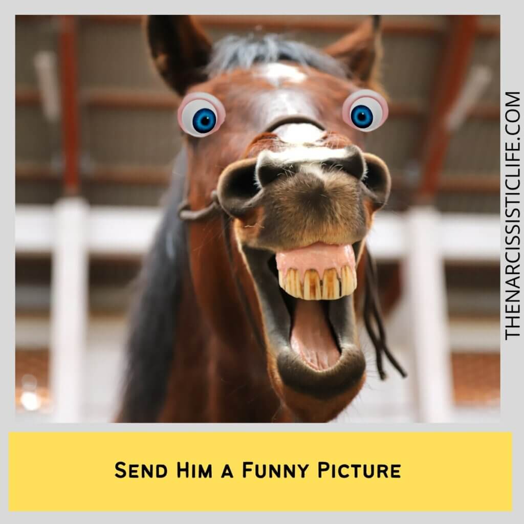 Send Him a Funny Picture